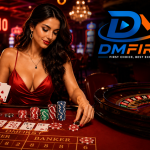 DmFirst Login – Simple Sign In Guide for Beginners